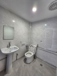 Novena Gardens (D11), Apartment #524385161